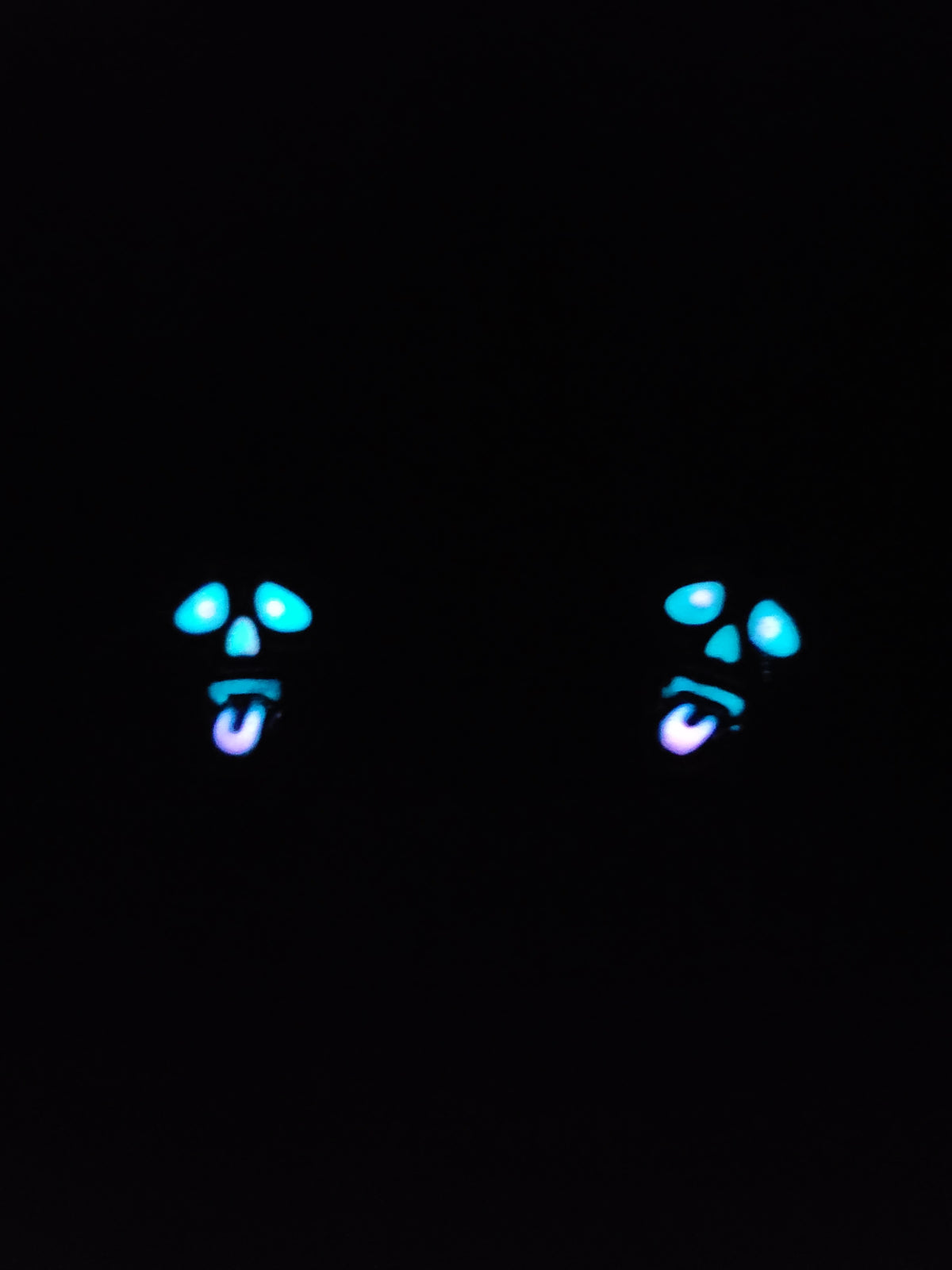 Crazy Bout You Earrings