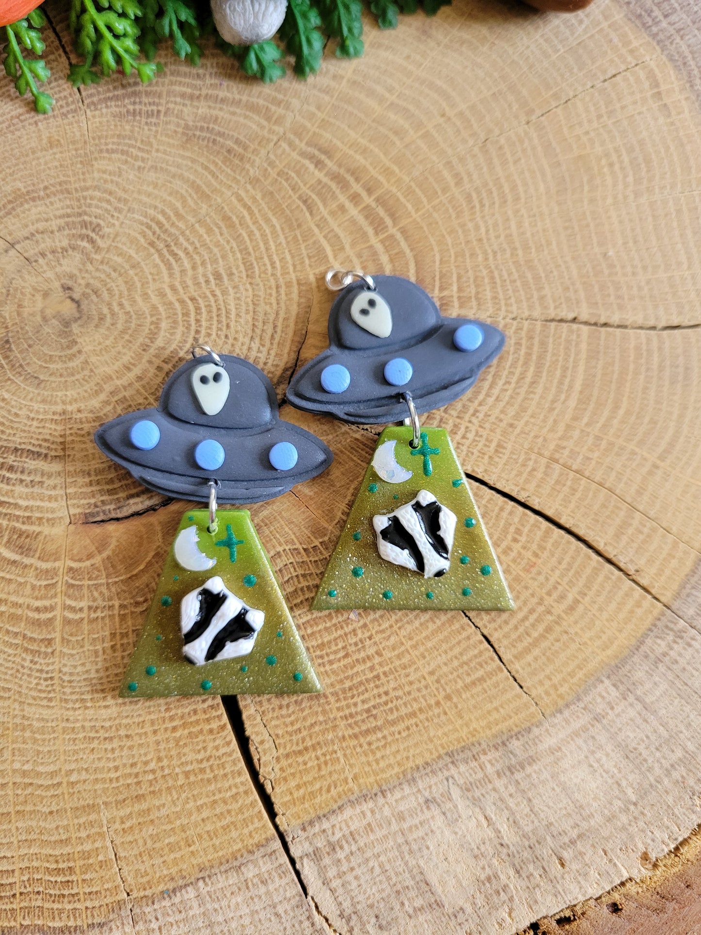 Alien Abduction: Badger Earrings
