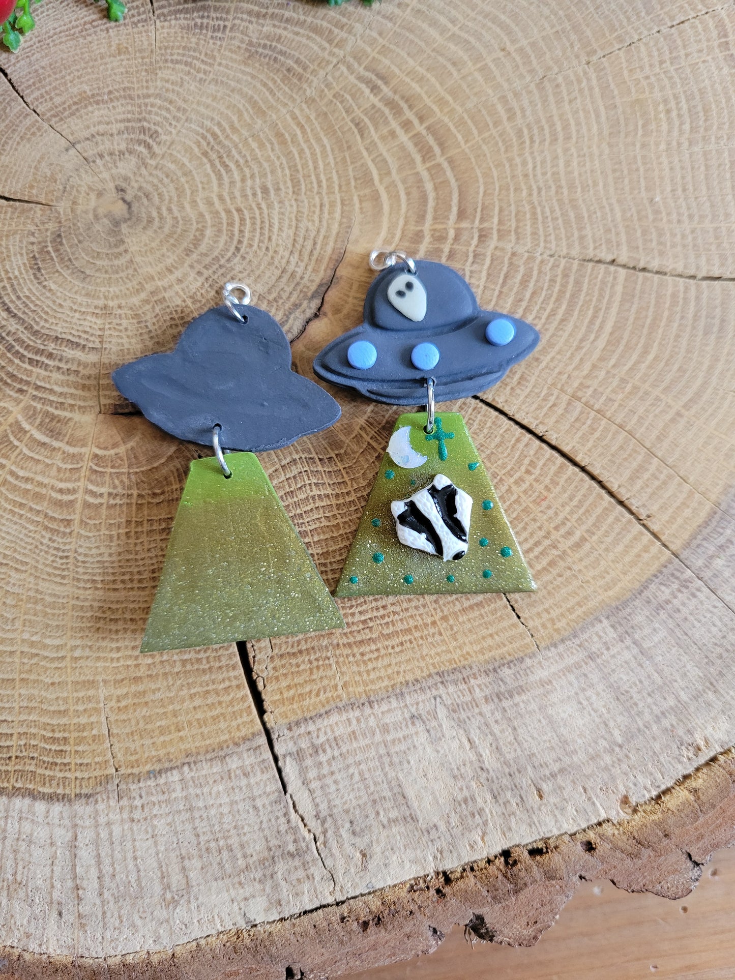 Alien Abduction: Badger Earrings
