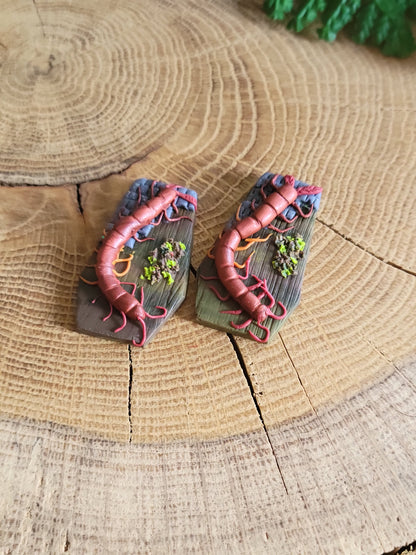 Centipede Coffin Earrings