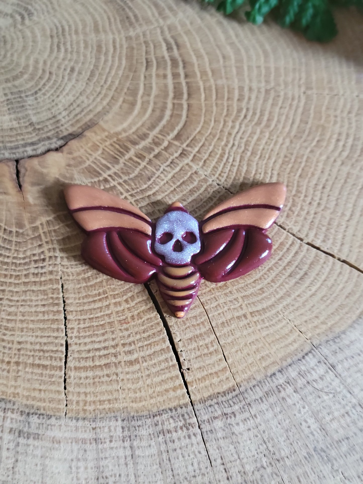 Colourful Death's-head Hawkmoth Earrings