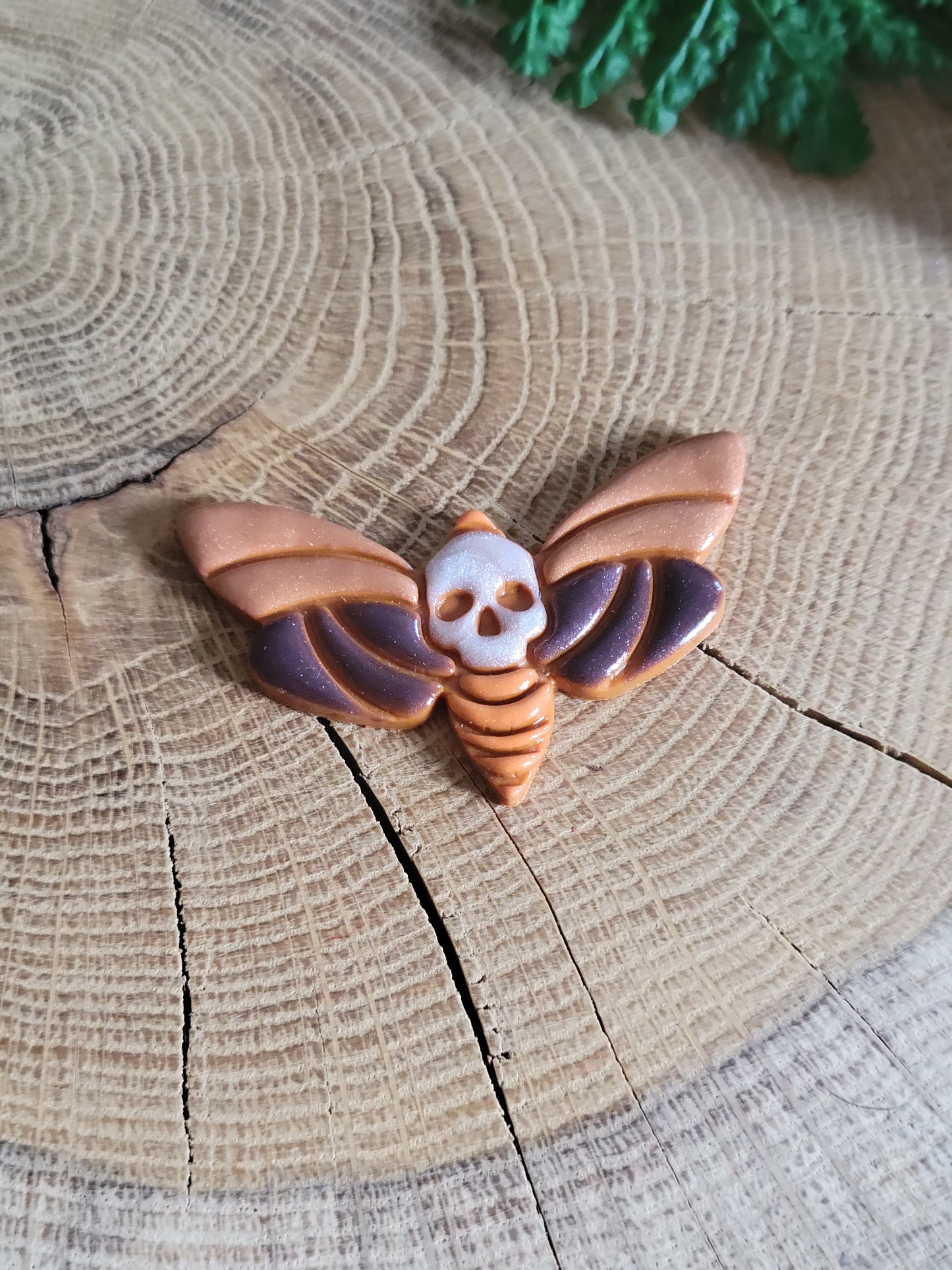 Colourful Death's-head Hawkmoth Earrings