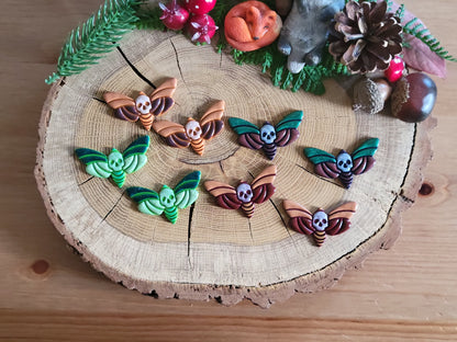 Colourful Death's-head Hawkmoth Earrings