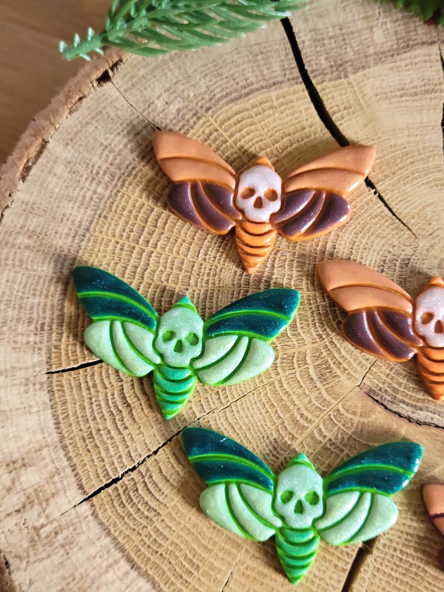 Colourful Death's-head Hawkmoth Earrings