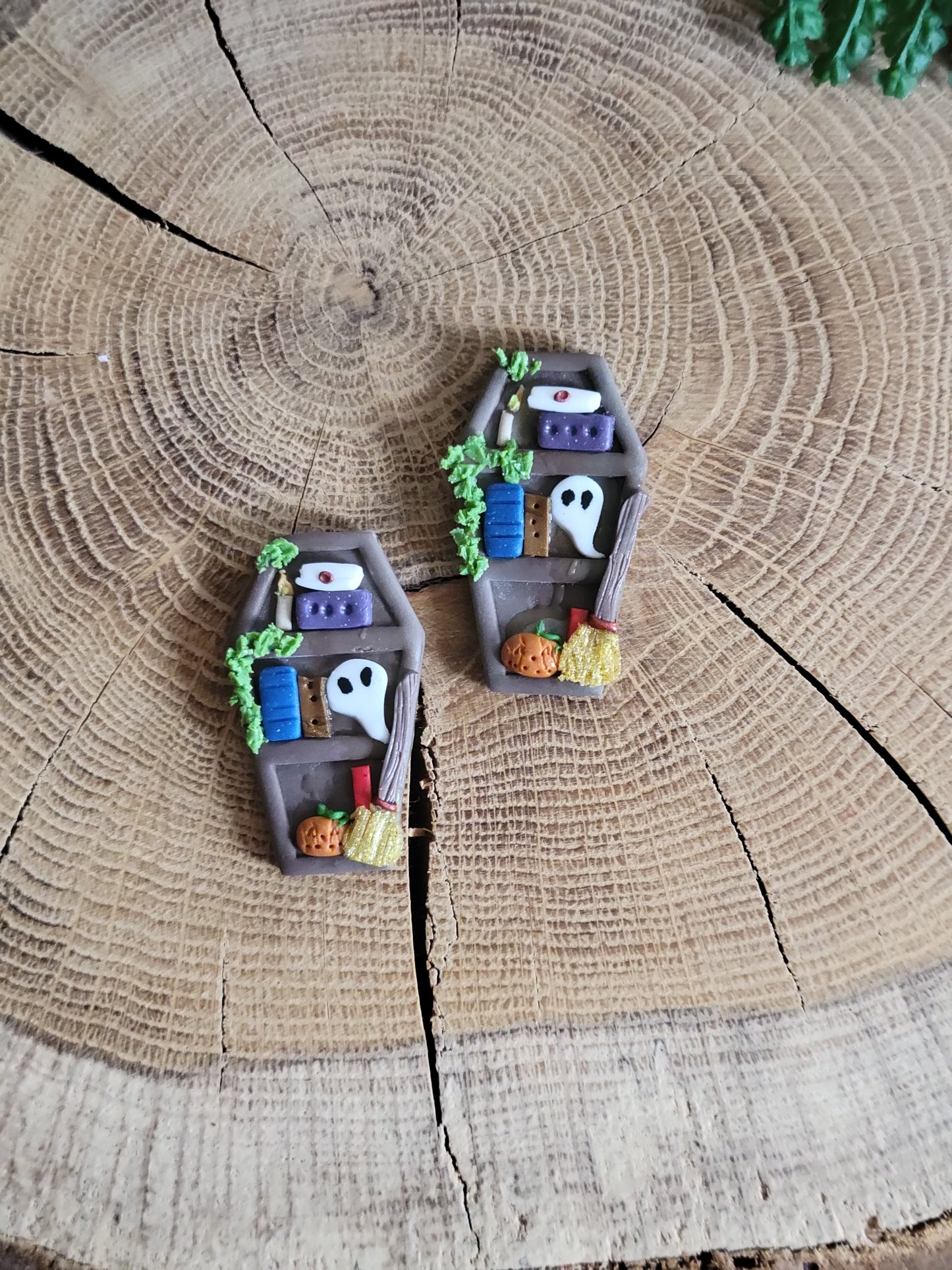 Wooden Coffin Bookshelf Earrings