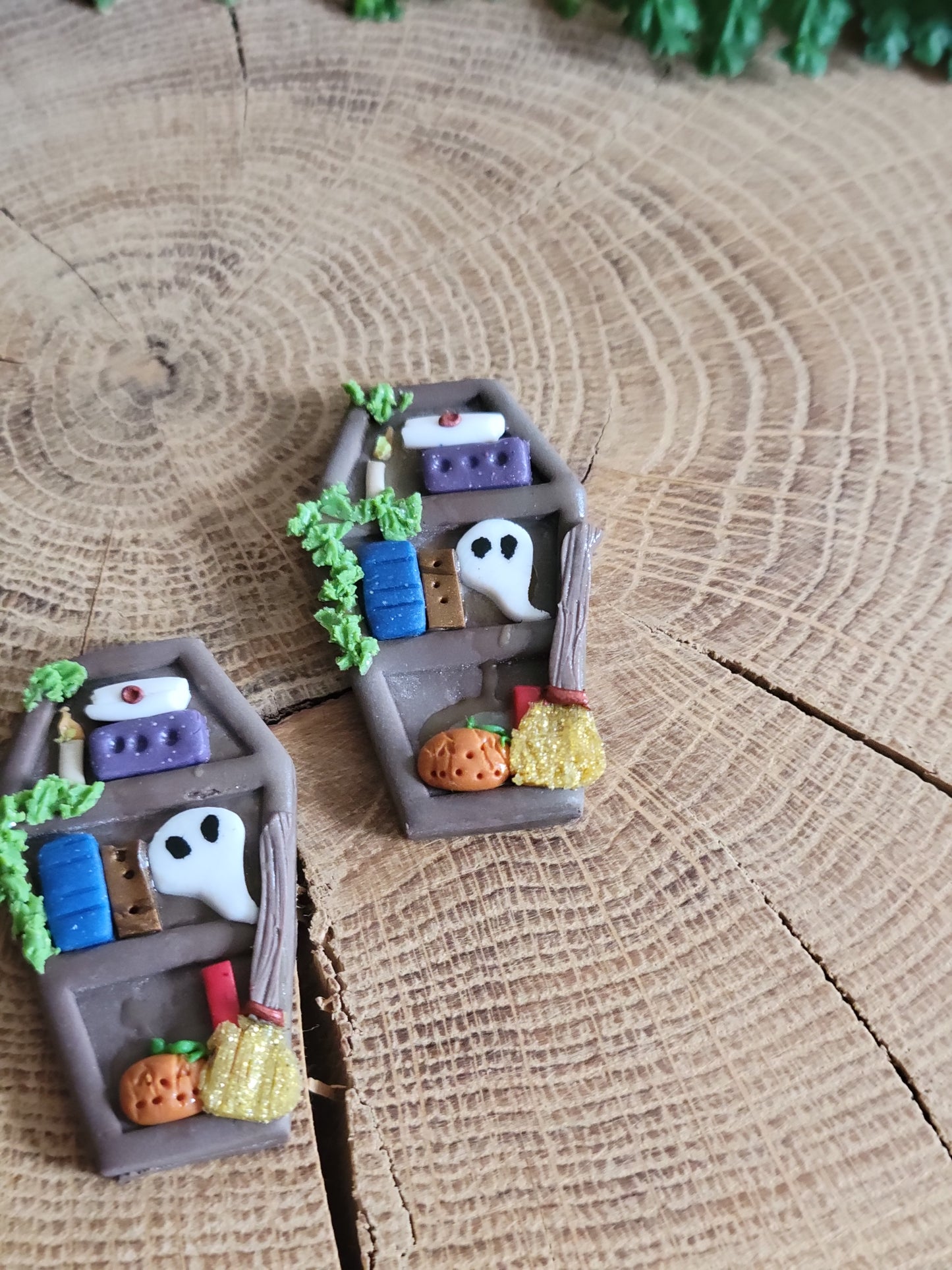 Wooden Coffin Bookshelf Earrings
