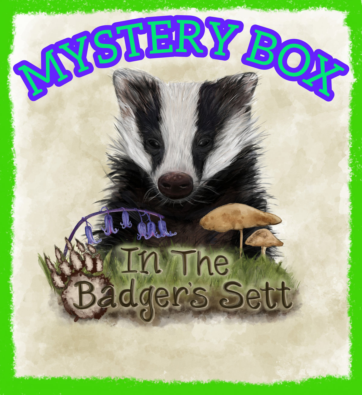 Mystery Boxes!
