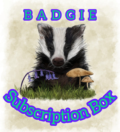 ✨Subscription Badgie Box - October.✨
