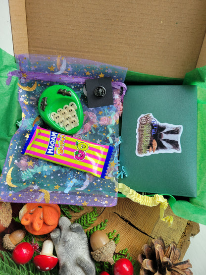 ✨Subscription Badgie Box - October.✨